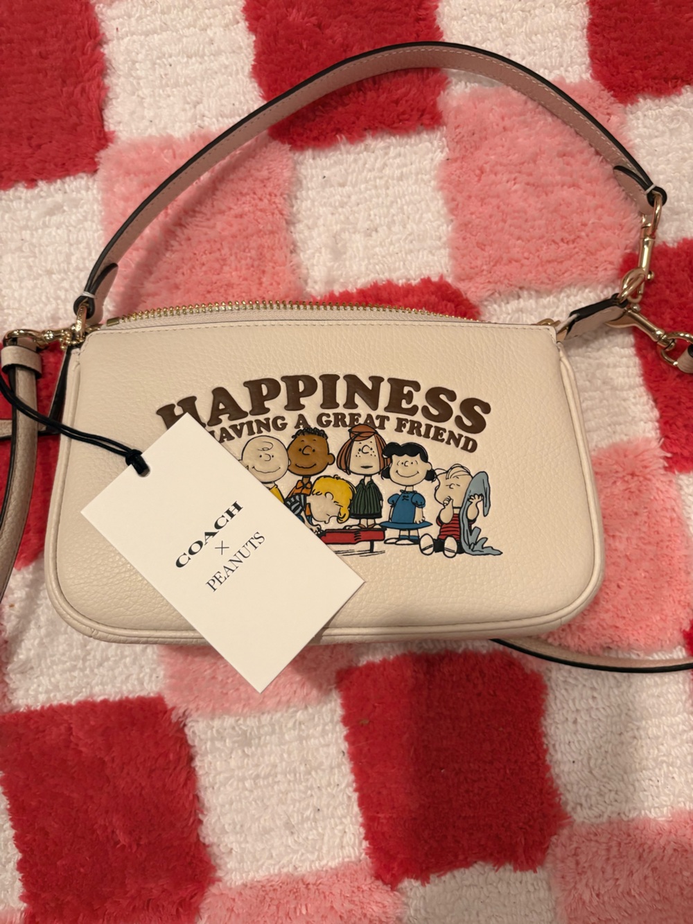 Coach X Peanuts Nolita 19 - Picture 3 of 5